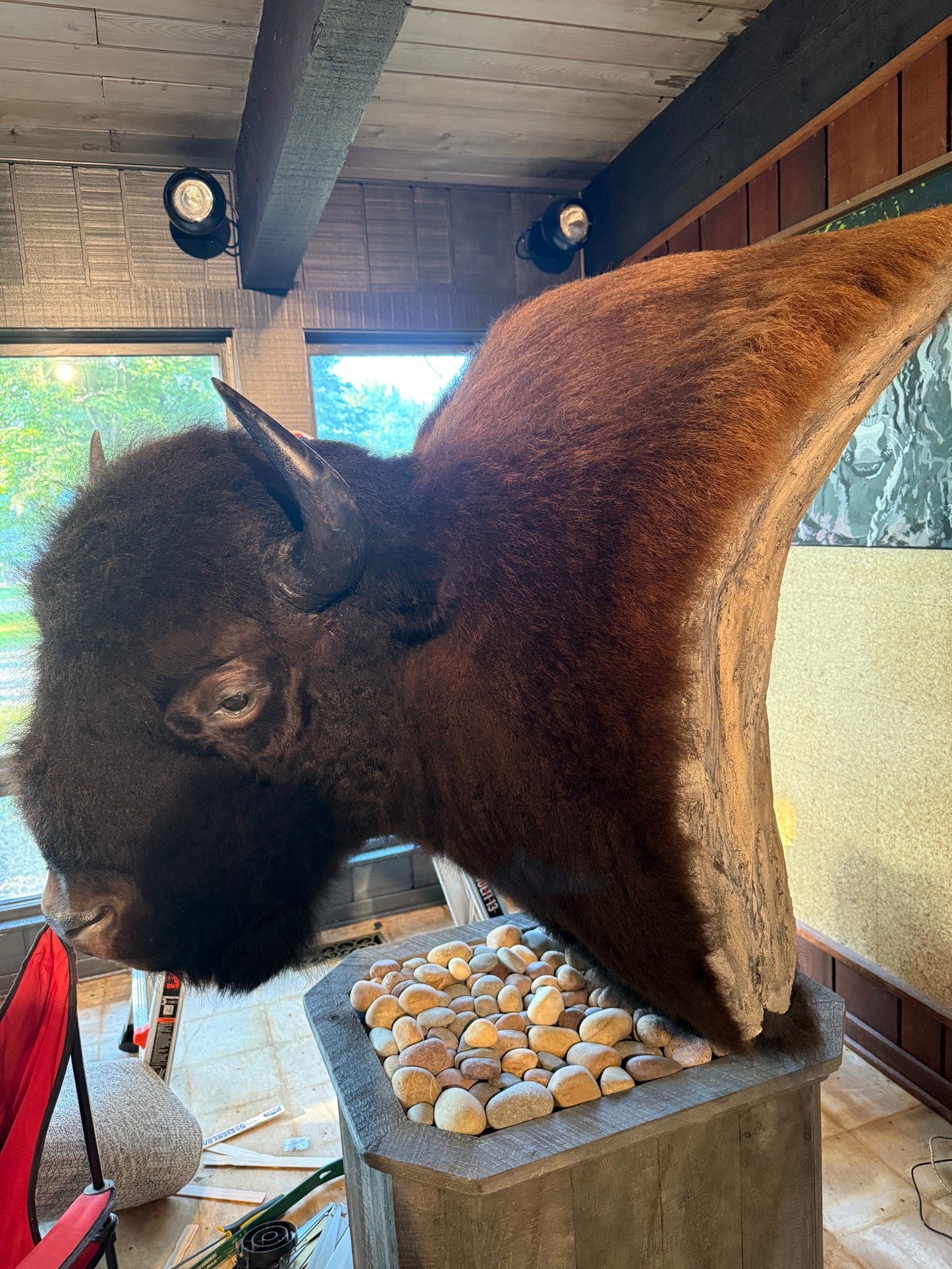 Bison Pedestal Mount