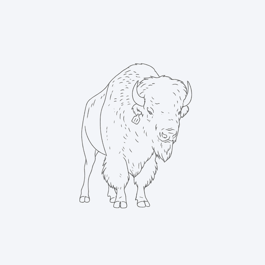 Bison Ground (1 lb)