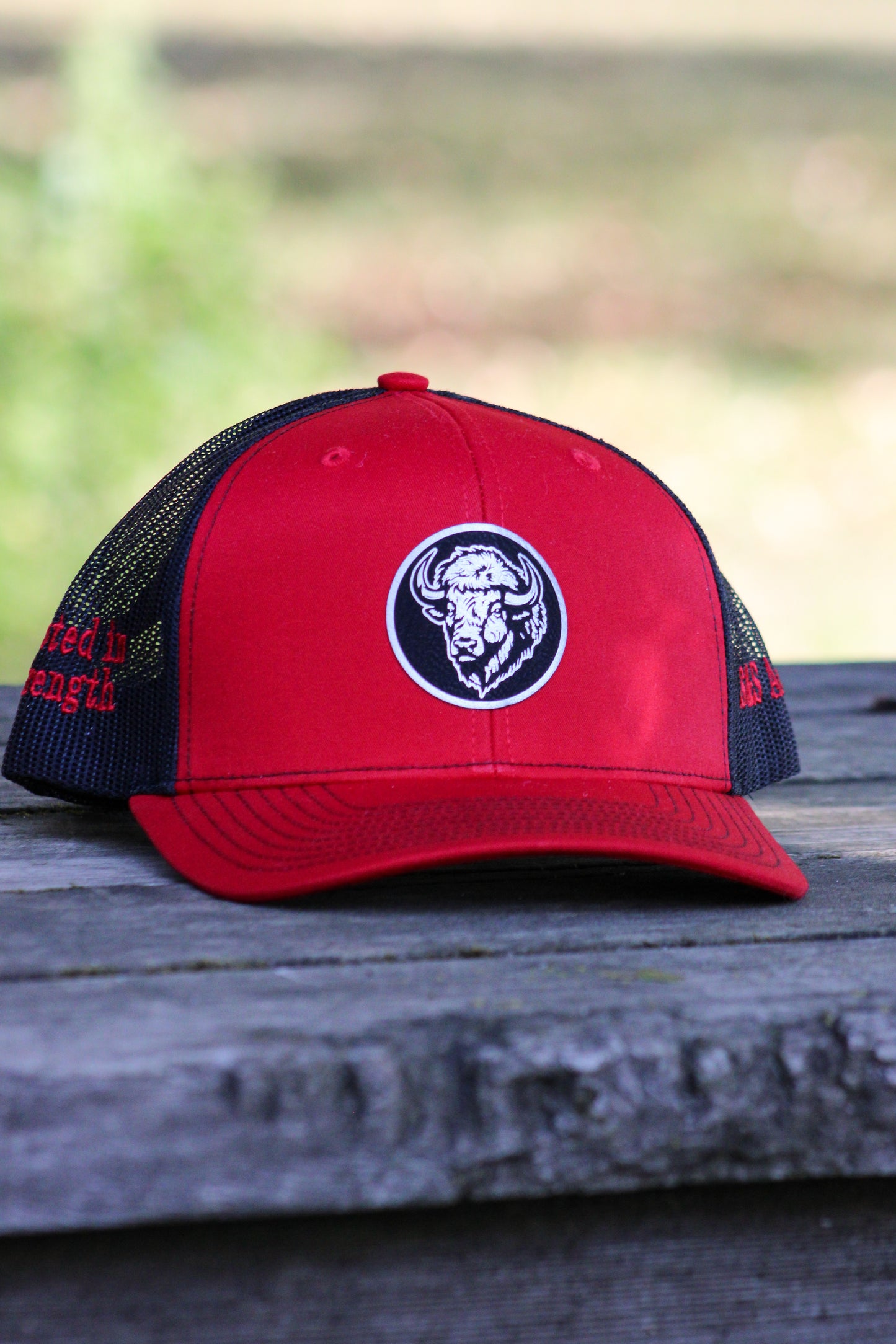 Bison Head Hat
