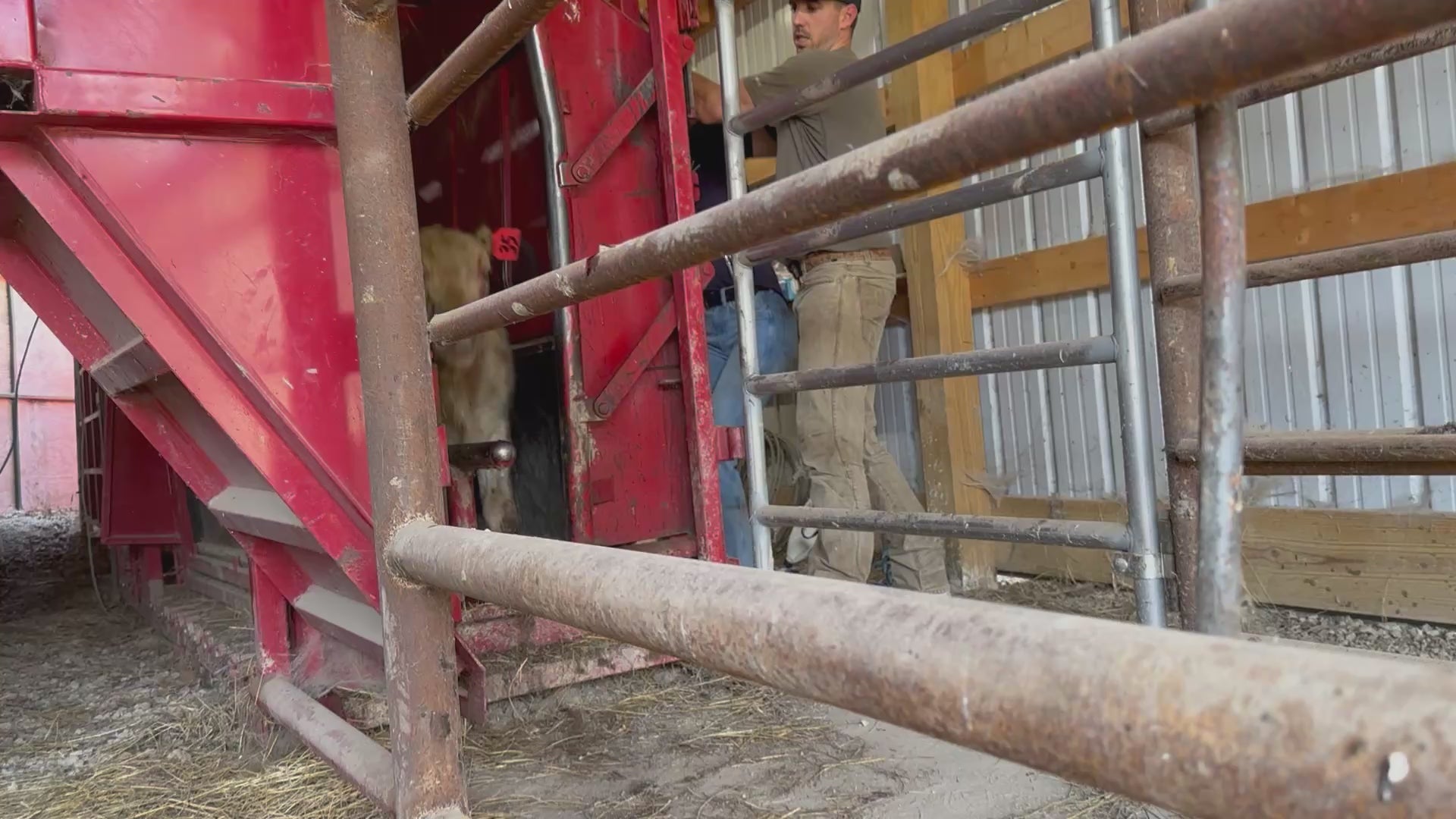 Load video: 
